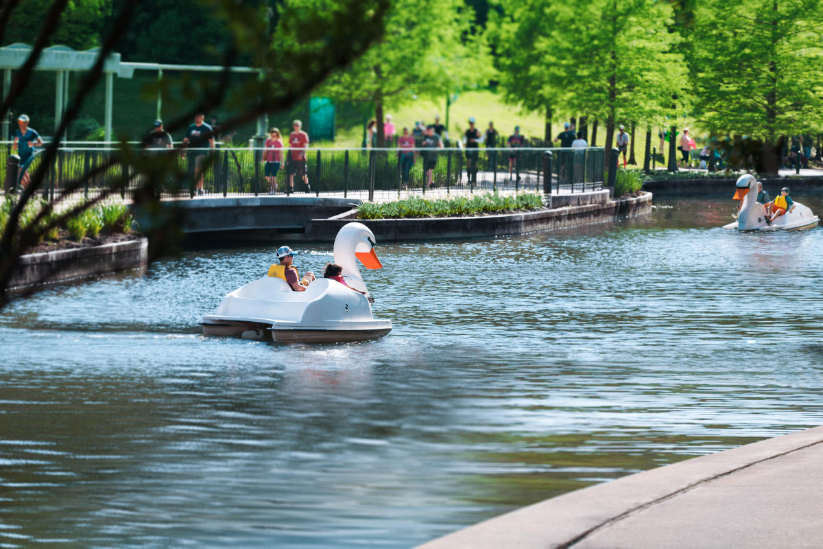 Swan Boats and Runner on The Waterway