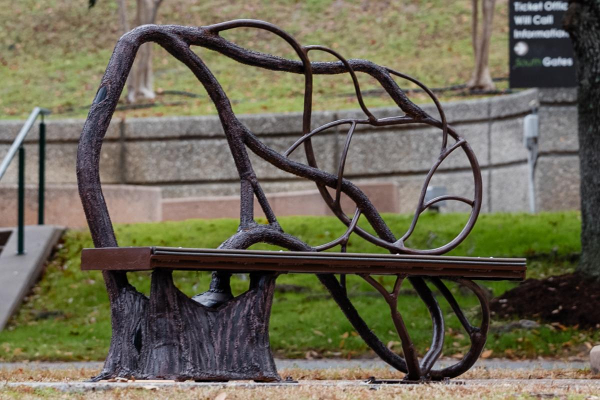 An art bench looks like it is growing out of a squatty tree trunk with thin, realistic branches arcing behind the seat to form the back of the bench.