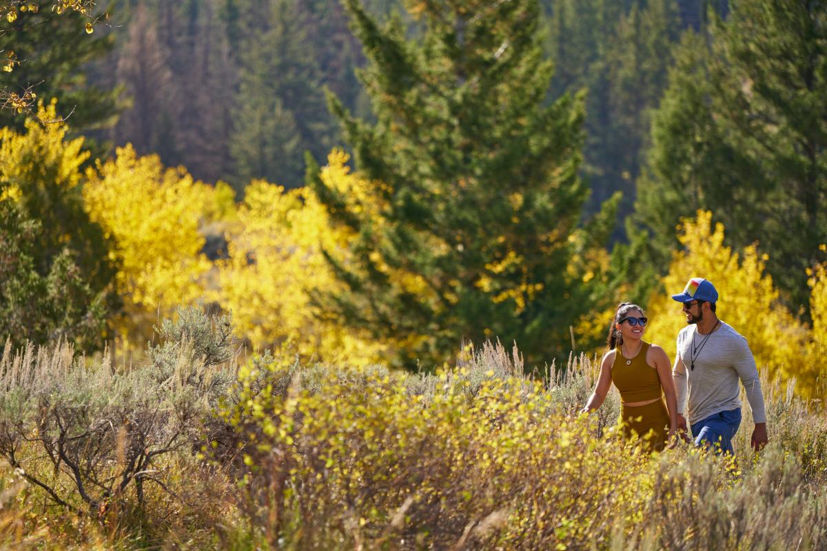 Two persons walking in meadow with yellowing bushes and tall grass