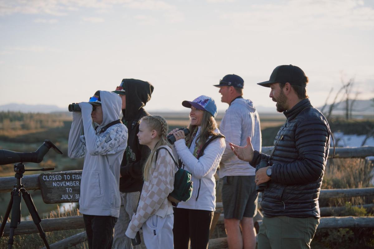 Guided wildlife tours through Grand Teton National Park
