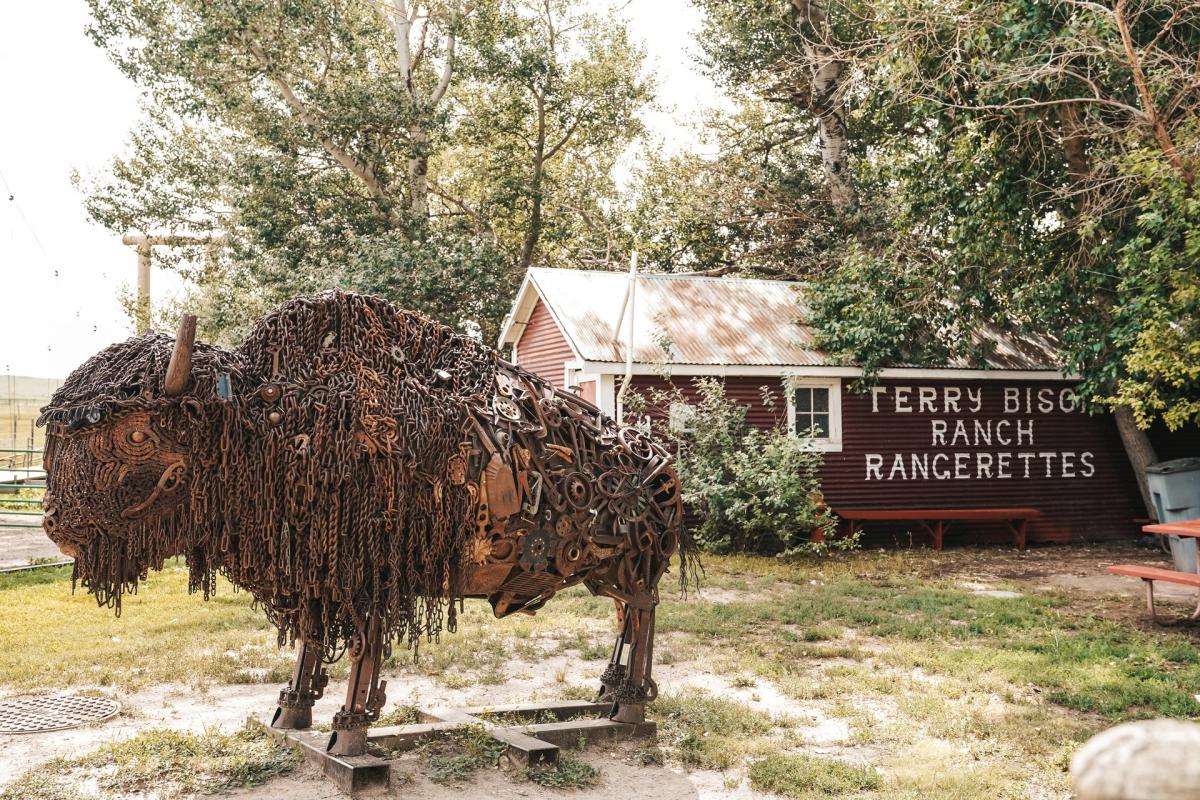 Bison sculpture at Terry Bison Ranch.