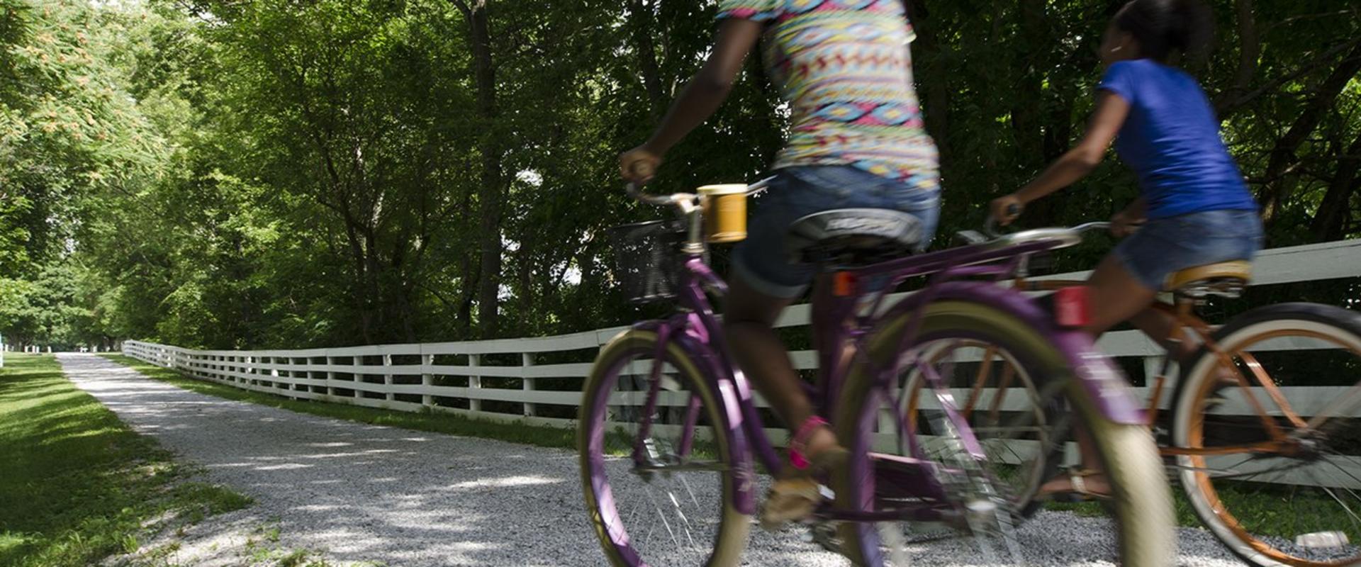 Main street online lexington bike