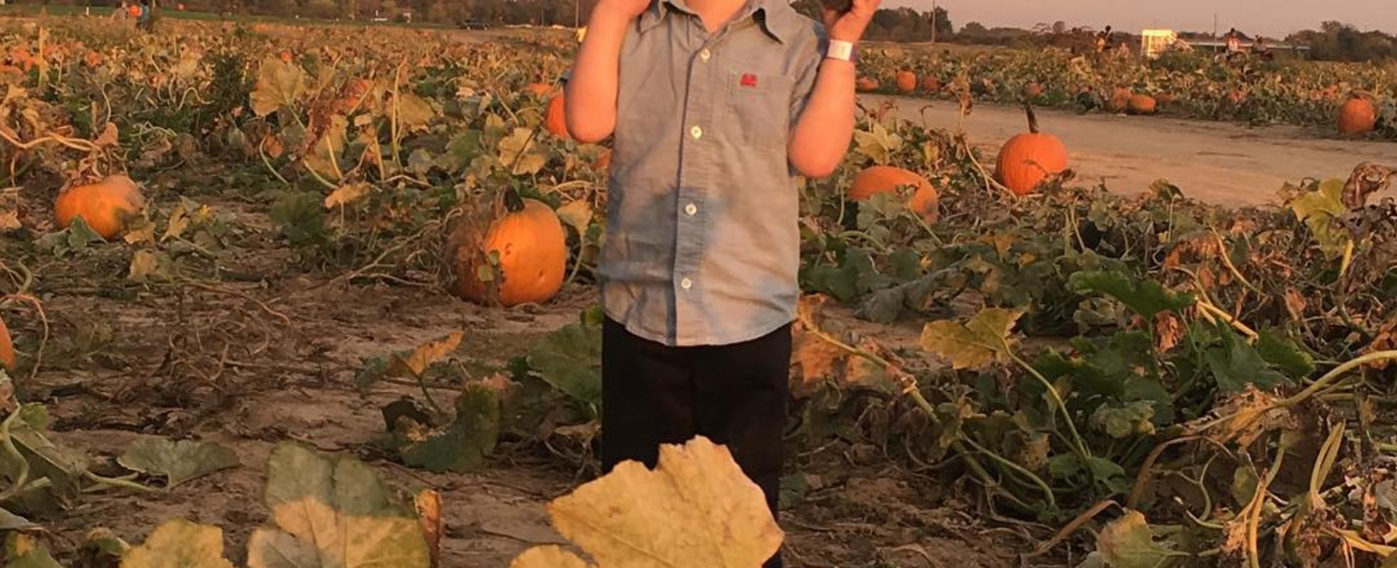 USA Today Readers' Choice Best Corn Maze - Exploration Acres
