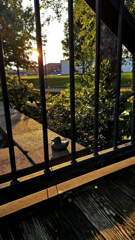 A Lucky Duck figurine sits on a stone ledge behind a metal railing as the evening sun shines through the trees. The hidden duck is part of the Lucky Duck Scavenger Hunt in downtown Huntsville.