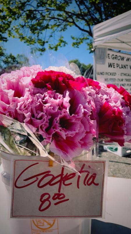 Farmers Market Flowers