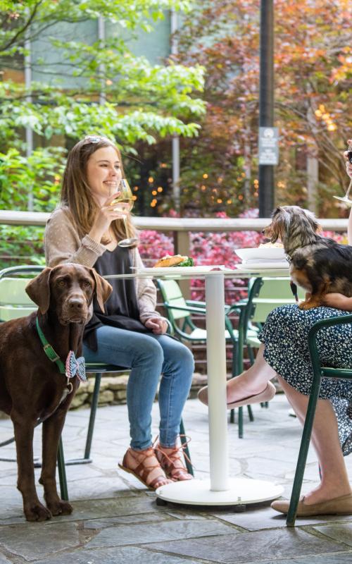 Dog Day Parkwoods Woman and Dogs dining at Crowne Plaza Ravinia