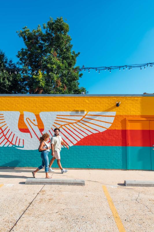 Brown Pelican Mural