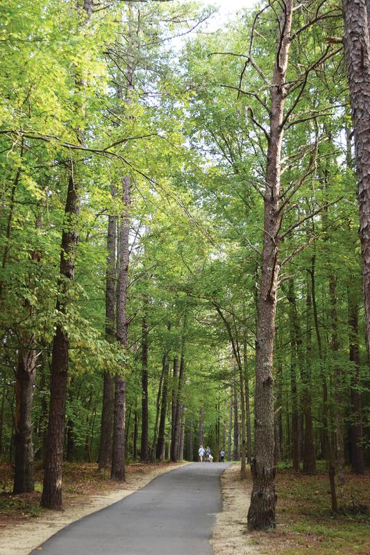Creekside Park Walking Trail - Archdale