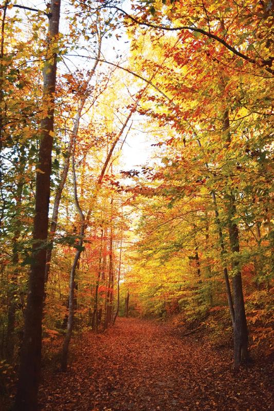Deep River State Trail - Ramseur