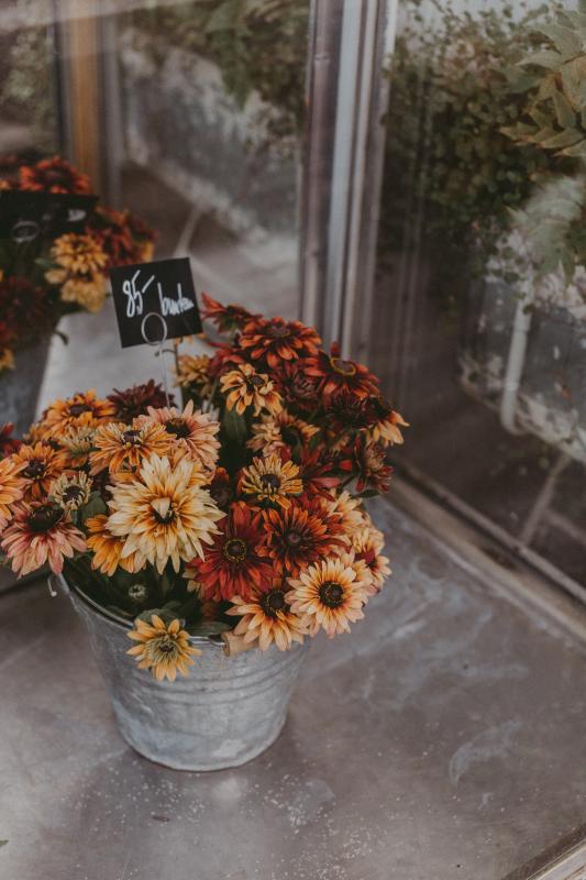 Beautiful-flowers-at-flower-shop