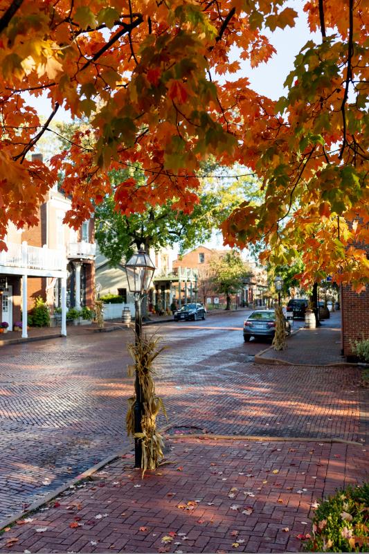Fall in St. Charles, MO
