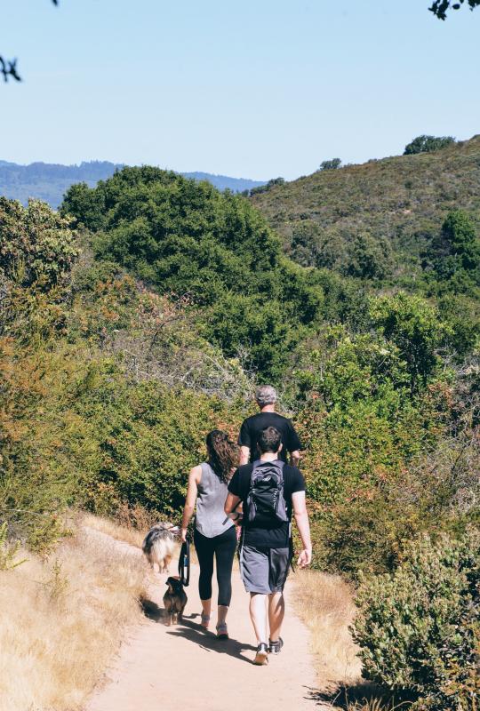 Family with dogs hiking Pulgas Ridge Open Preserve in San Mateo County, CA