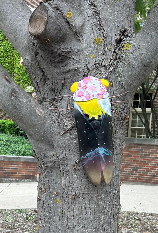painted cicada resting on a tree in Glen Ellyn