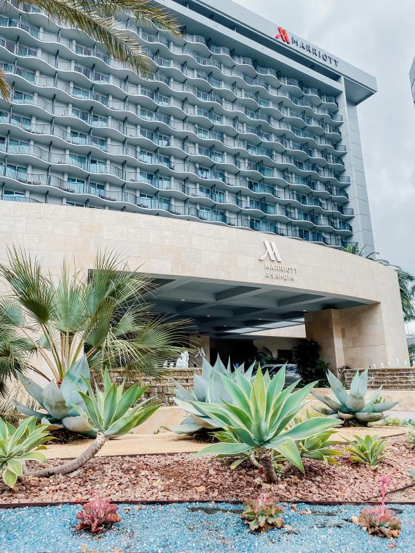 Image of the front of the Anaheim Marriott hotel. A tall, grey building can be seen in the background. In the foreground, multiple cacti and palm trees can be seen.