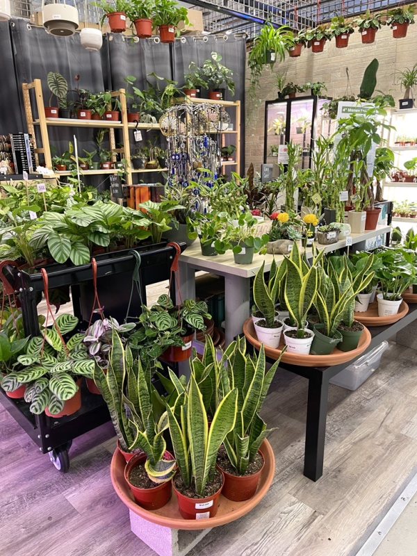 Anaheim Indoor Marketplace