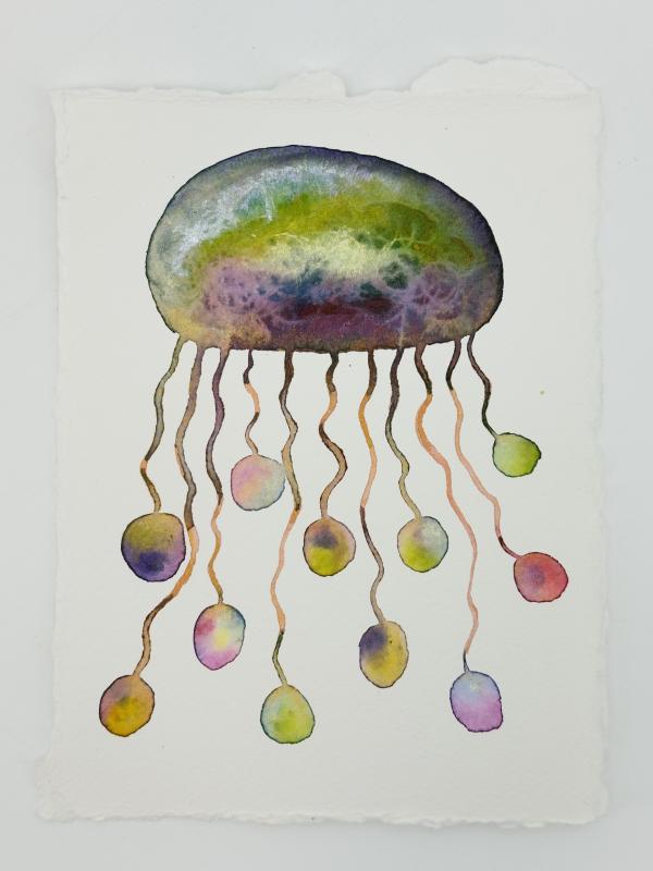 "Rainbow Jelly"