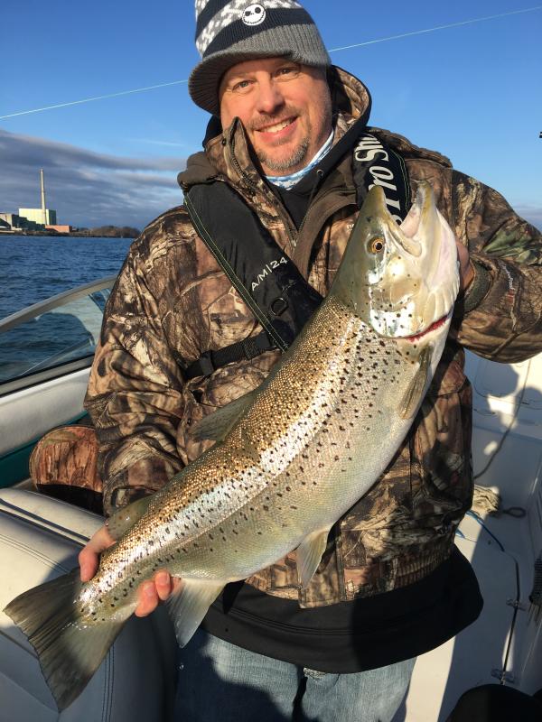 Trophy Brown Trout
