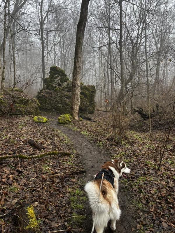 Charlestown State Park Dog Hike