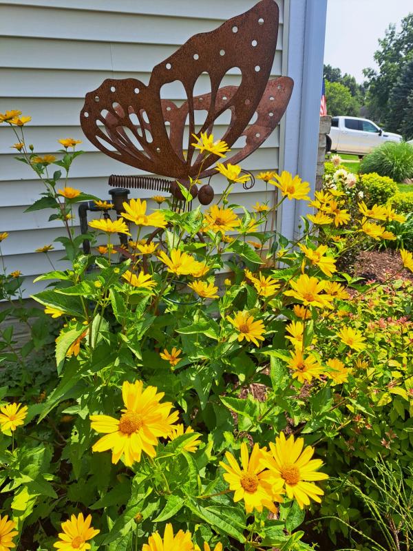 An image of a metal butterfly among yellow daisies with a home in the background.