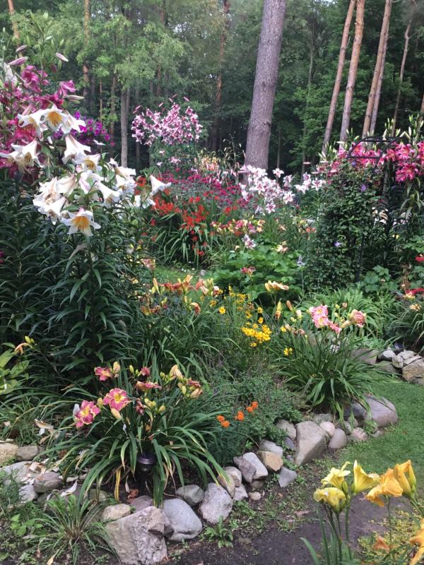 An array of beautiful flowers of various colors surrounded by ornamental stones.