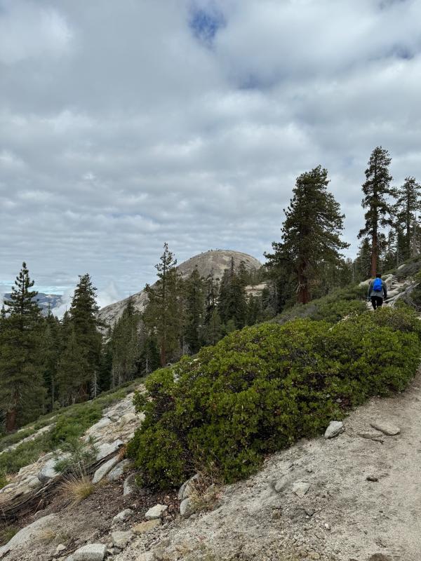 Sentinel Dome
