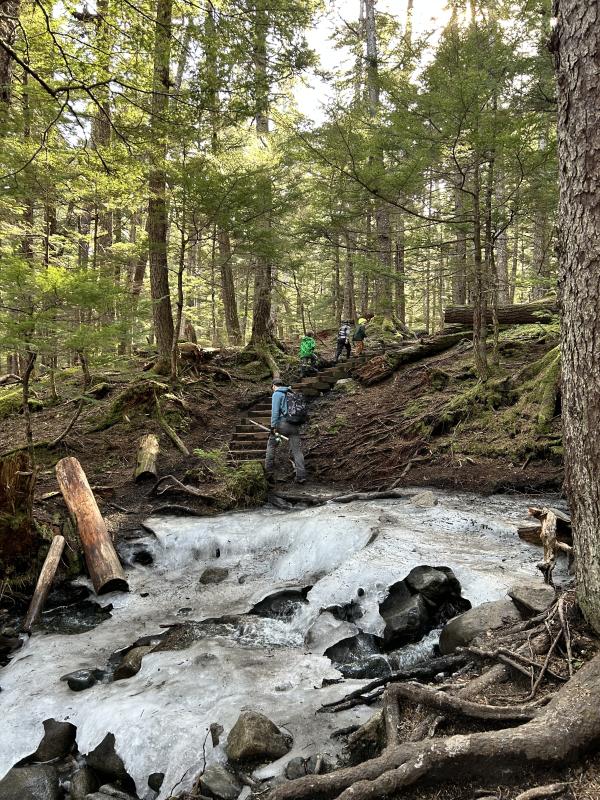 Battery Point Trail Spring Ice