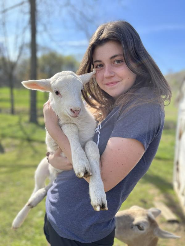MLF Lamb Cuddling 2