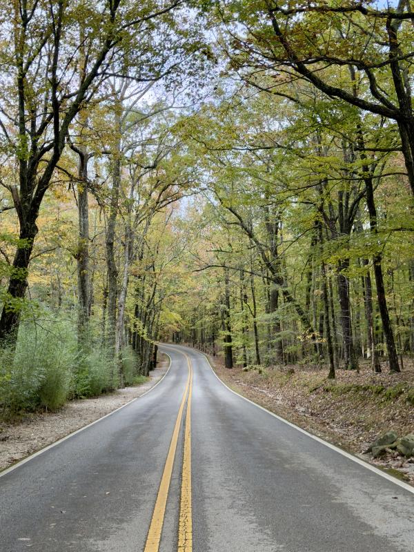 A winding two-lane road stretches through a canopy of tall trees on Monte Sano Mountain. Early autumn leaves line the scenic drive, creating a peaceful view surrounded by lush forest.