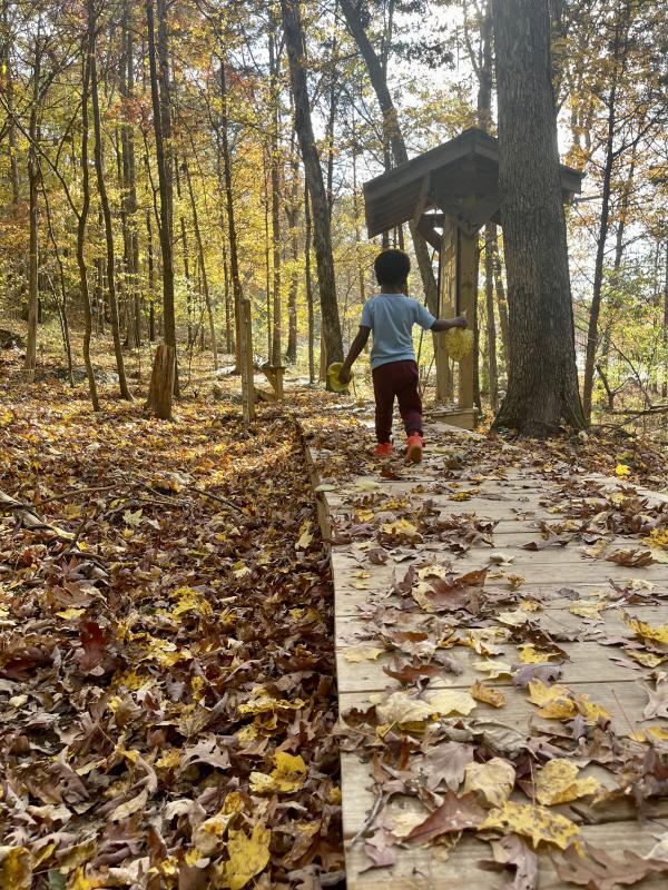 Blevins Gap Leaves with Kids