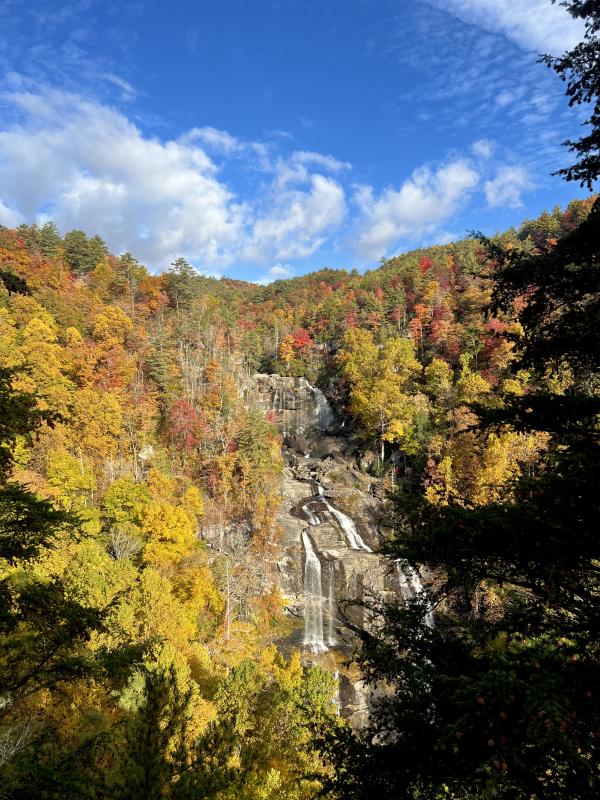 A tall, multi-tiered waterfall cascading down a rocky cliff face, surrounded by a dense forest of vibrant yellow, orange, and red autumn foliage in Jackson County, NC.