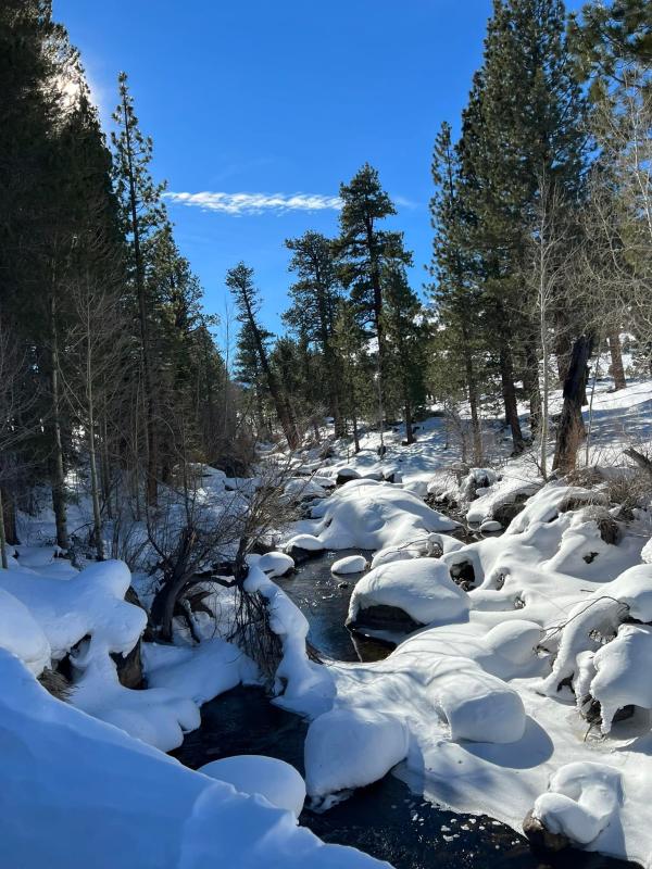 buckeye creek on the bridgeport winter trail system