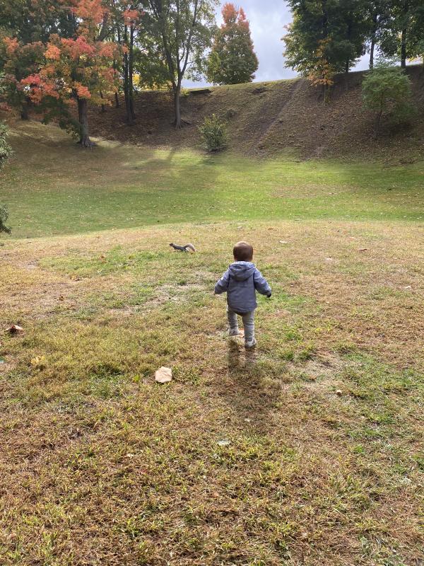 Child in in Highland Park in the Fall