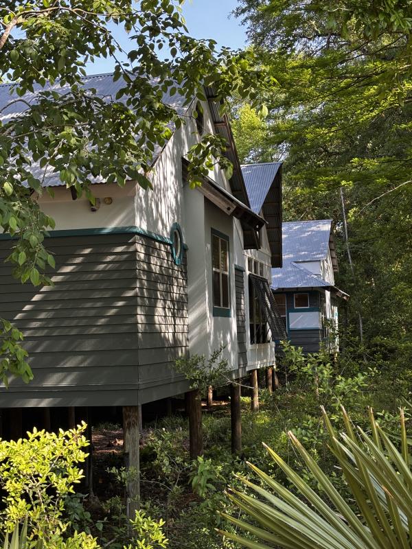 Visit The Northshore Visitor Center elevated on wooden pilings among trees and native vegetation in Mandeville, Louisiana, viewed from the edge of the parking lot near the boardwalk entrance.