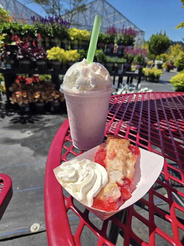 jake's burgers at sterino farms milkshake