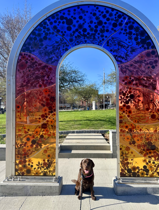 A dog under public art installation in Burlington, VT