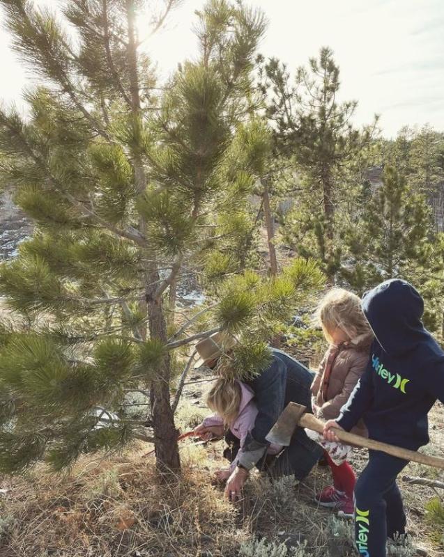 Cutting down a Christmas tree on Casper Mountain