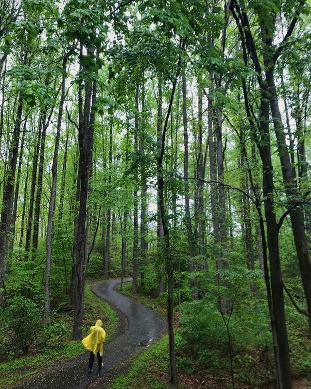 Reston Trail System