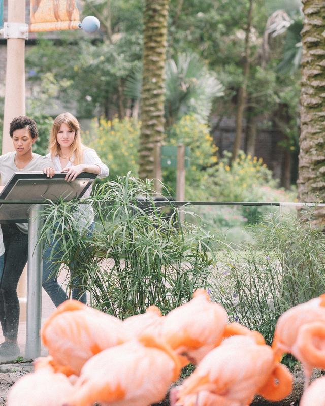 Local LGBT family checks out Audubon Zoo