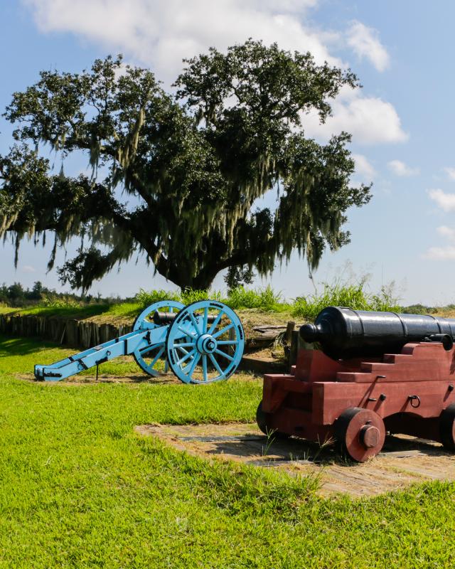 Why all the cannons, New Orleans?
