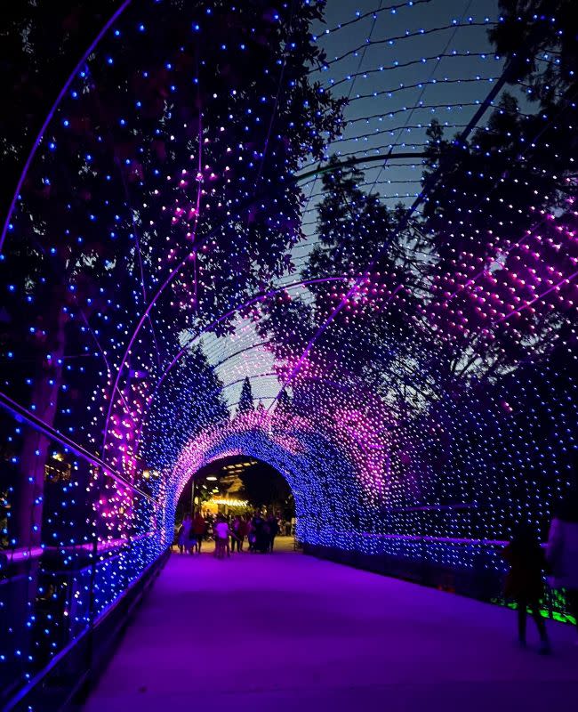 a tunnel of holiday lights with some people walking through it