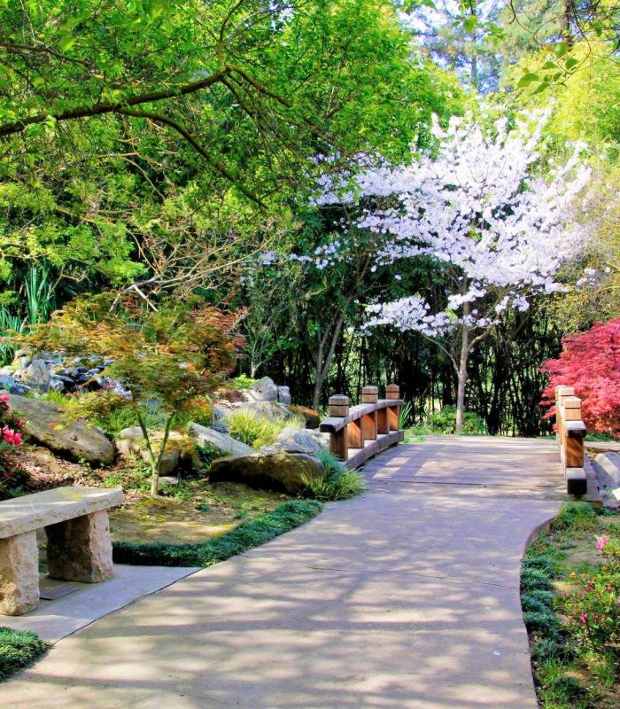 garden pathway surrounded by nature scenery