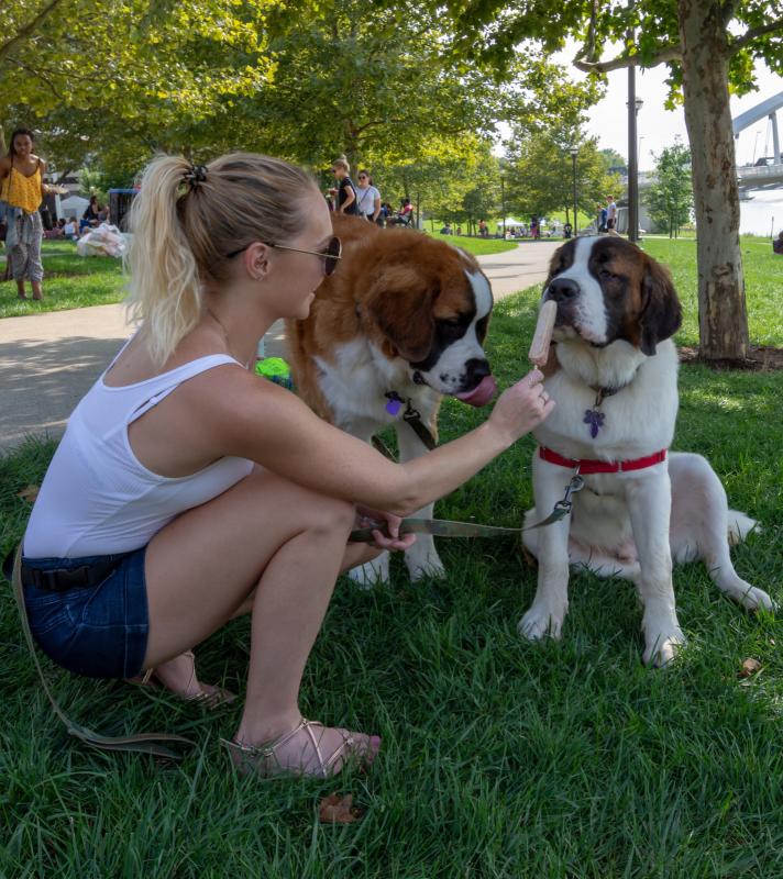 Woman giving a popsicle to her two dogs at the Columbus Food Truck Festival