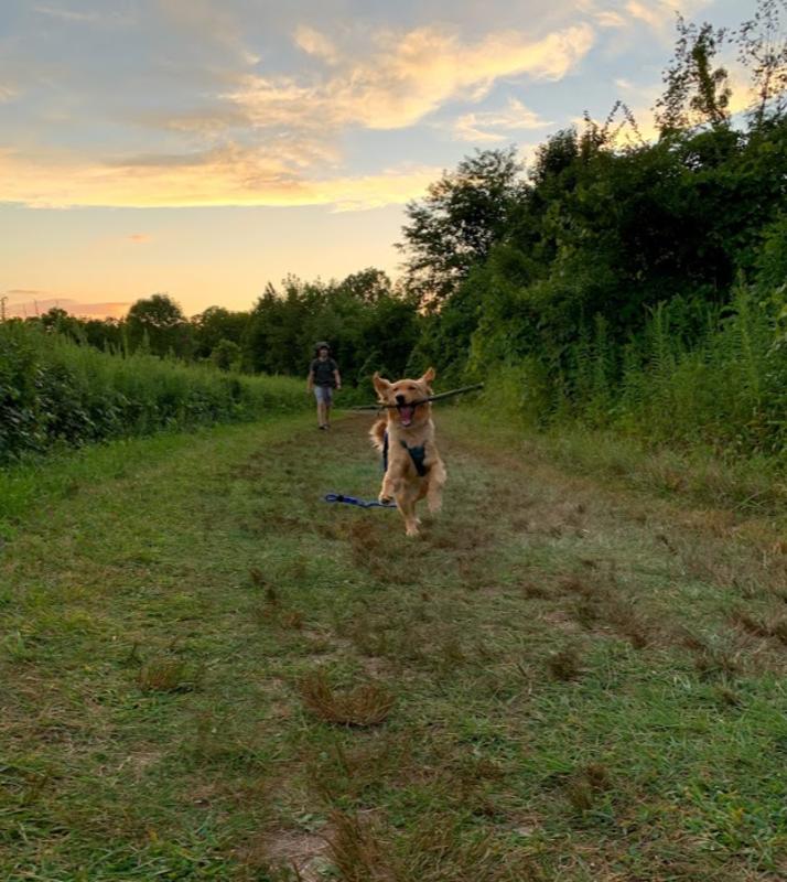 GCSC staff Erica Cornell's dog Ellie at Highbanks Metro Park