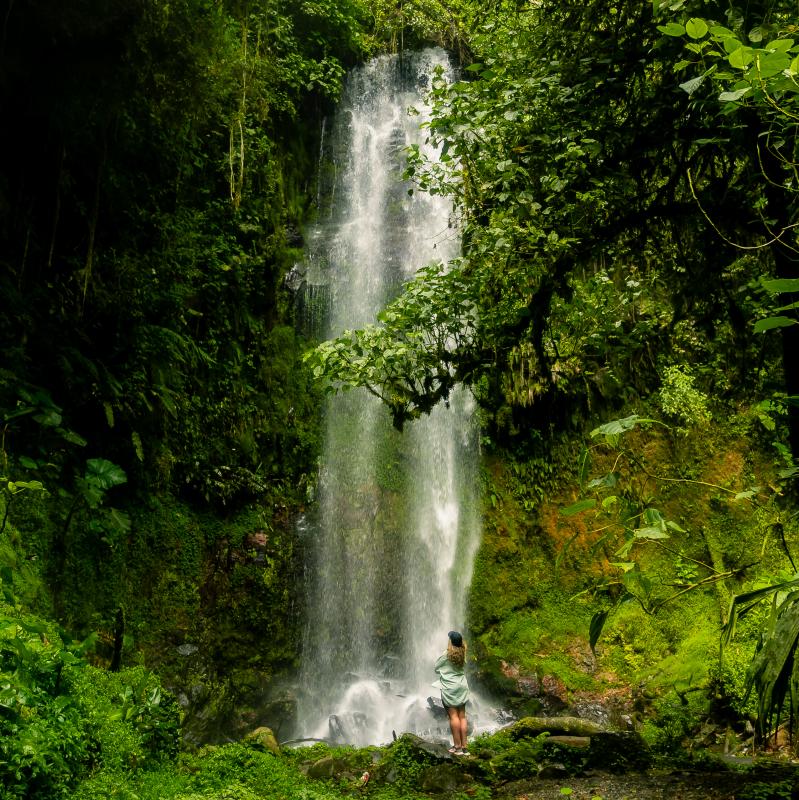 waterfall