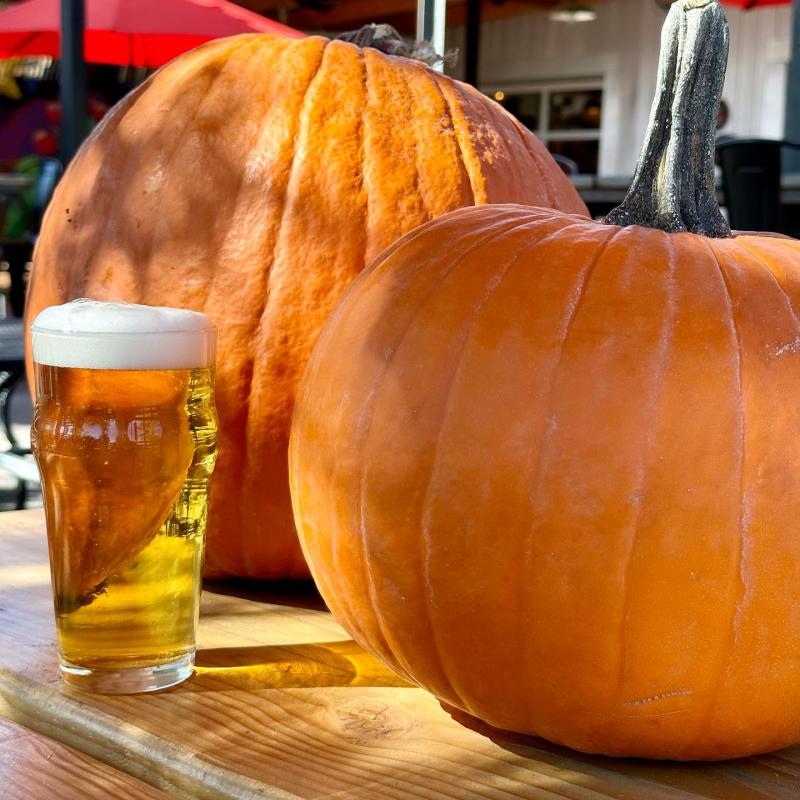 A glass of Canteen Brewhouse beer sits next to two pumpkins.