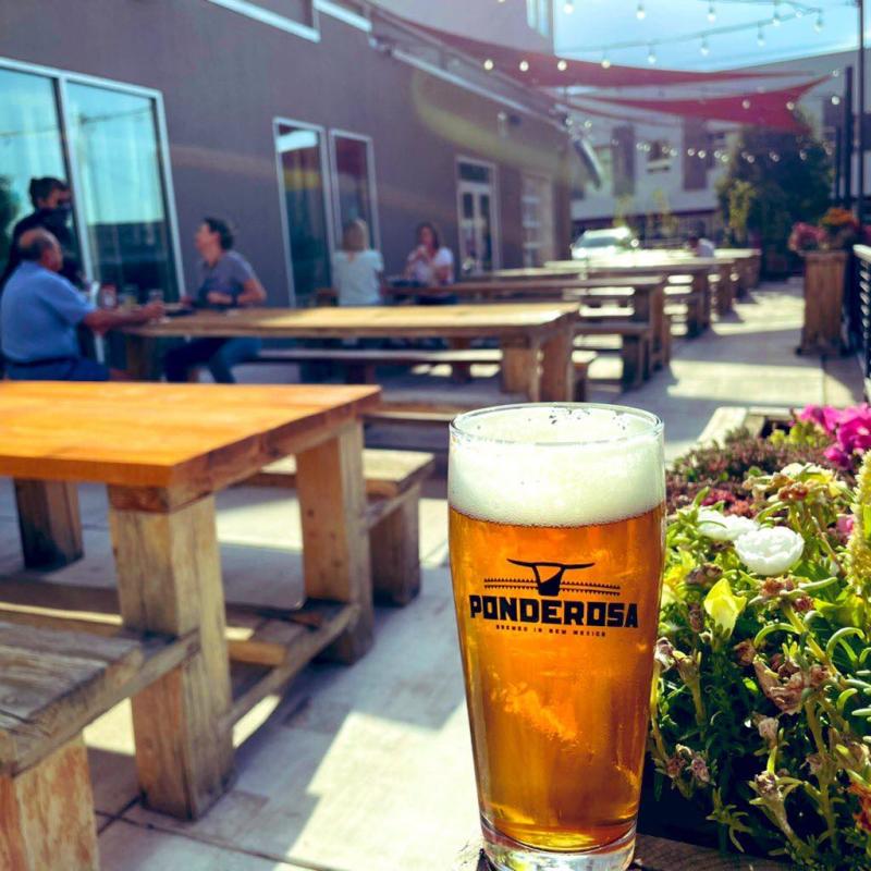 A glass of beer in the foreground of the patio at Ponderosa Brewing.