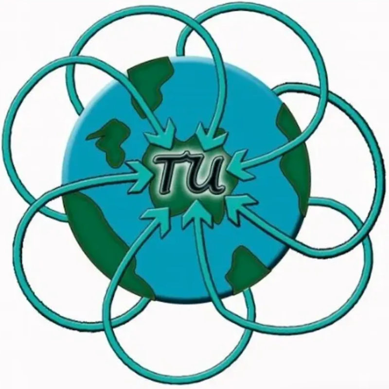 Turquoise United logo