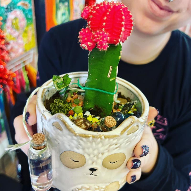 A person holds a DIY succulent from Zinks Town