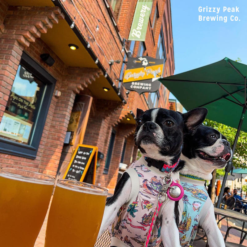 Dogs at Grizzly Peak Brewing Co.