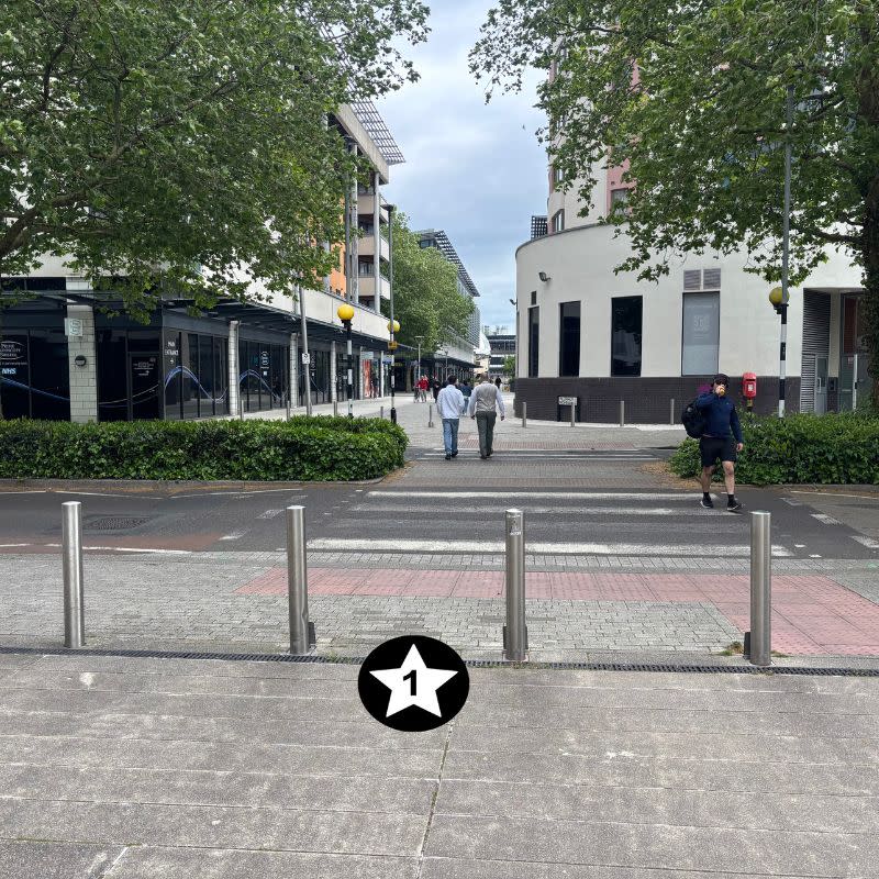 Millennium Promenade Social Story Picture 12 - A photo of a zebra crossing over road with four silver bollards before the crossing. There are trees on the other sode of the road and a path stretching out ahead.